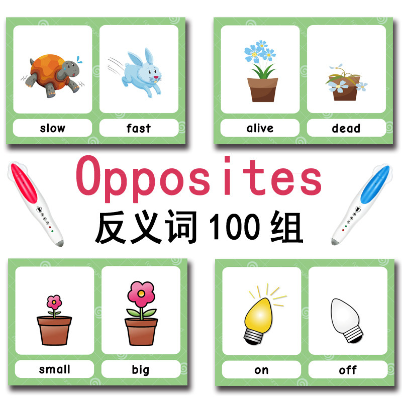 The 100 Groups Opposites Flash - Board Games review and price